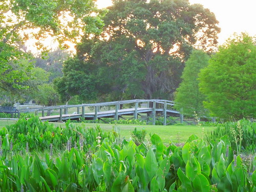 Bridge at sunset by Medieval Weevil, Sun Set at a local parkbridge sunset nature florida