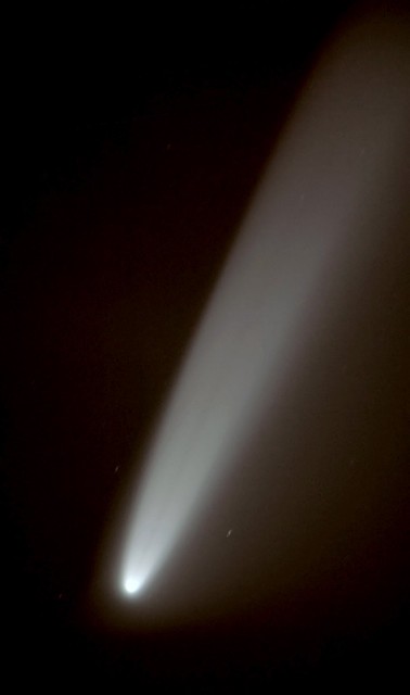 Comet McNaught coma detail 1jpg