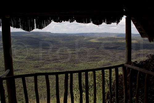 africa kenya riftvalley eastafrica lakenakuru wildlifephotography menengaicrater robsall mailisabacamp