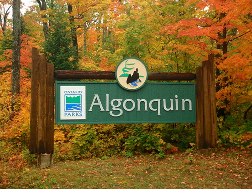 Algonquin Park, Ontario
