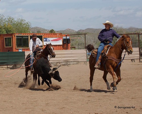 arizona horse sport cowboy all sony country rope arena rodeo cowgirl athlete equine wickenburg roping 50500mm views50 f4563 slta77v