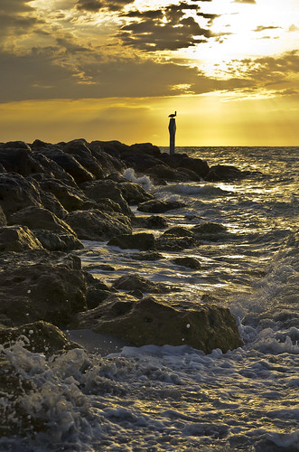 ocean sunset gulfofmexico wet water clouds island golden rocks waves florida pelican splash captiva