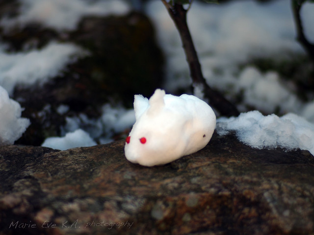 ❦ 雪うさぎ ; snow rabbit