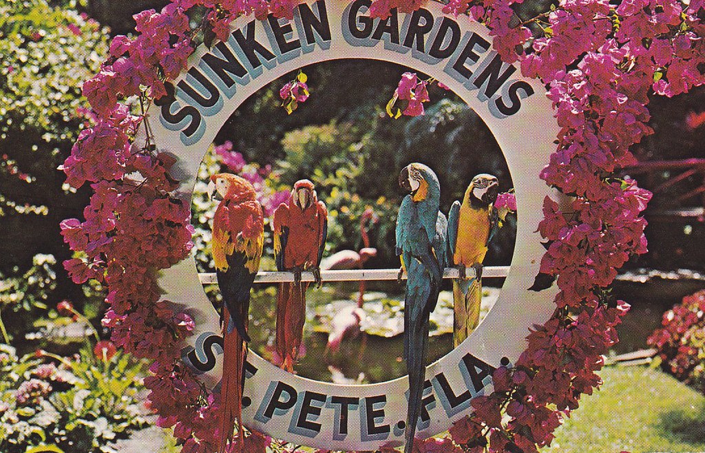 Sunken Gardens St Petersburg Florida Back Of Postcard Rea Flickr