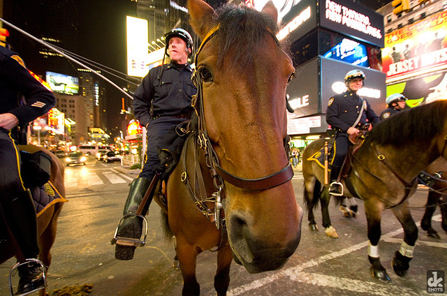 NYPD Mounted Unit