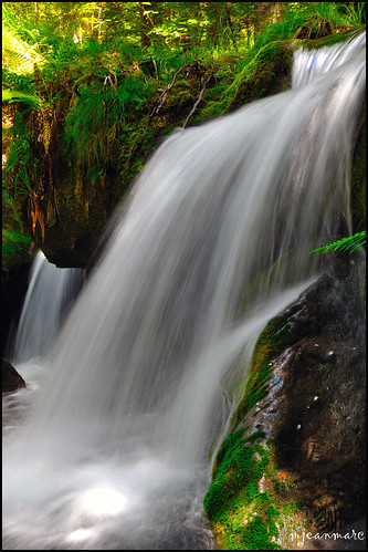 nature water nikon waterfalls alsace cascade vosges eauxvives eaux d90 flickrdiamond platinumheartaward chutesdeaux