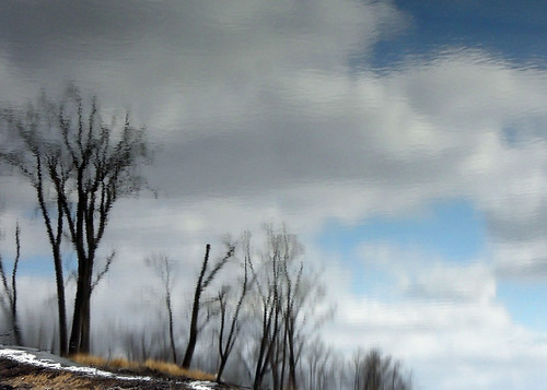 trees water clouds reflections mississippiriver lacrosse