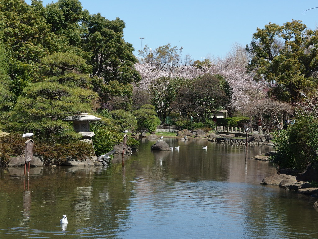 About Sumida Park Cherry Blossom Festival Japan 2024 4