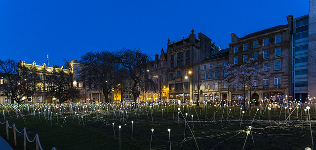 St Andrews Square Edinburgh - Field of light