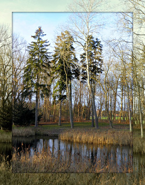 Landscape with spruce / Пейзаж с соснами (Explored,12.03.2012  # 242)