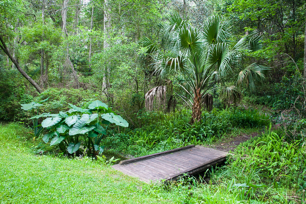 Ravine Gardens State Park Trail