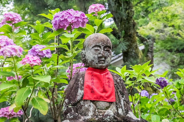 Buddha surrounded by Flowers 菩薩と紫陽花
