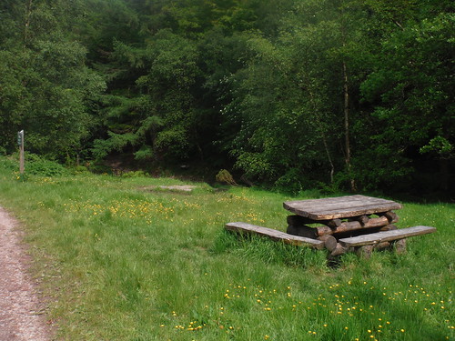 Picnic Area in the Limb Valley SWC Walk 267 - Sheffield Circular (via Porter, Limb, Sheaf and Gleadless Valleys) 