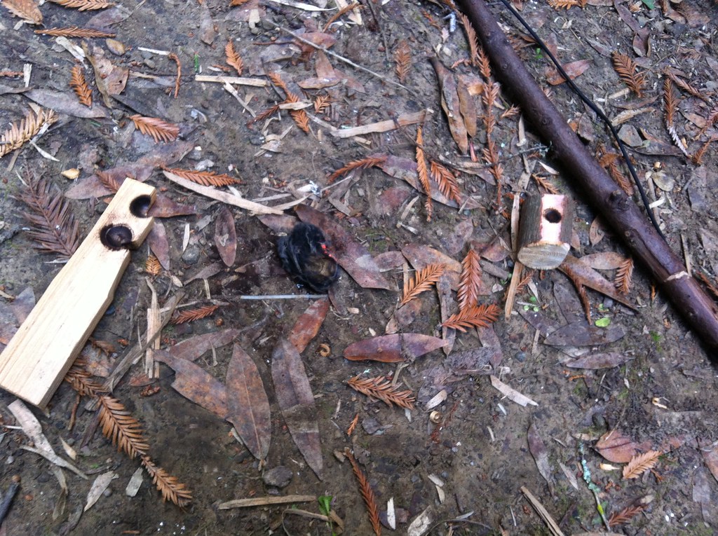 Bow drill