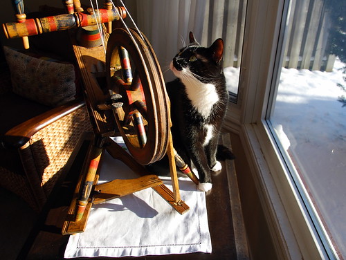 A black and white domestic short hair cat with tuxedo markings is sitting on a side table looking back at a newly cleaned small East European saxony spinning wheel.  There is snow outside the window and the wheel has bands of green, red, blue paint.