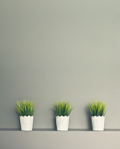 stilllife plants green interior fresh pots tall 50mmf14