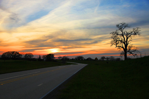 road trees highway texas np pineisland centerstripe wallercounty sunsetsilhoutte wyojones pierceallroad pineislandtexas