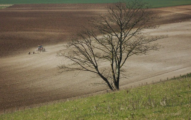 Ploughing the South Downs