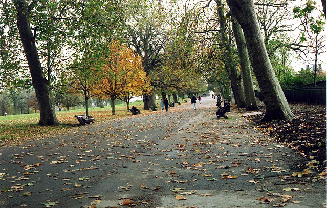 autumn in regent's park