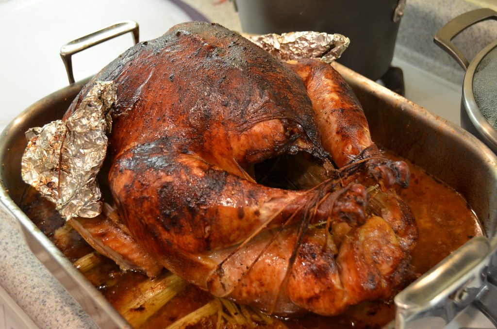 Thanksgiving Bird | Thanksgiving Turkey Dinner 2015. | Rob Bertholf ...