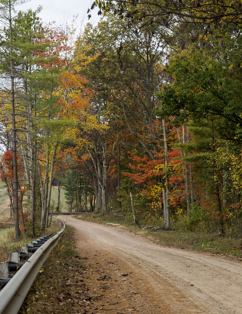 Backroads GreeneSullivan State Forest, Indiana Paula Barrickman