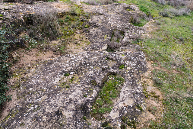 Necròpolis de la Pleta als Plans de Sió