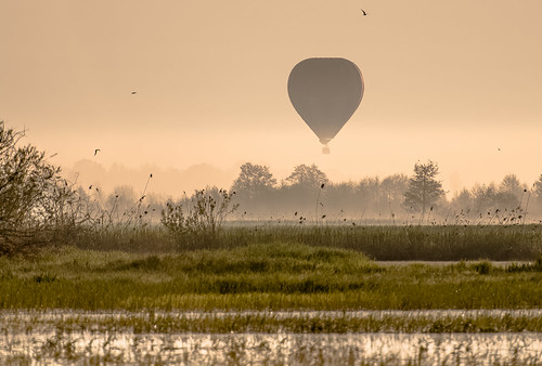 Balloon in the morning mist by Darek Perku Kakol, Poland Biebrza National Park