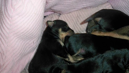 feb 13 2012 035 | by rebeccawip