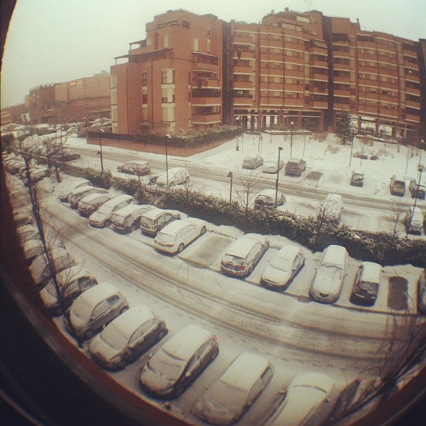 It's always snowing in #bologna