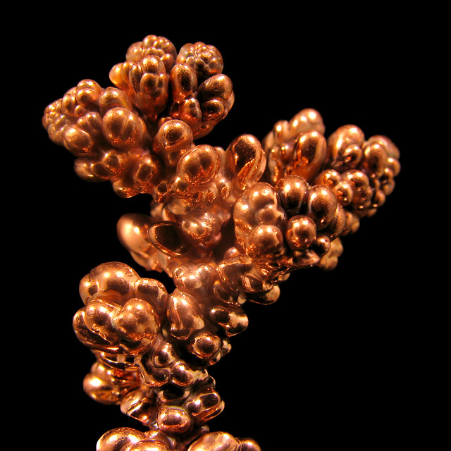 Copper Dendrites