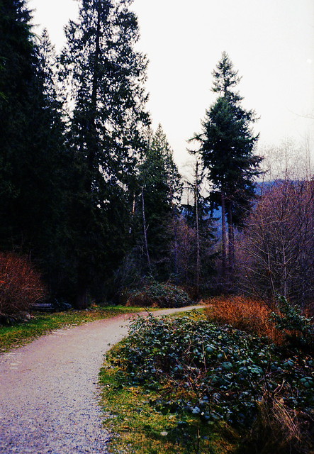 Olympus trip 35