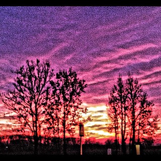 Sunset......in Lodi