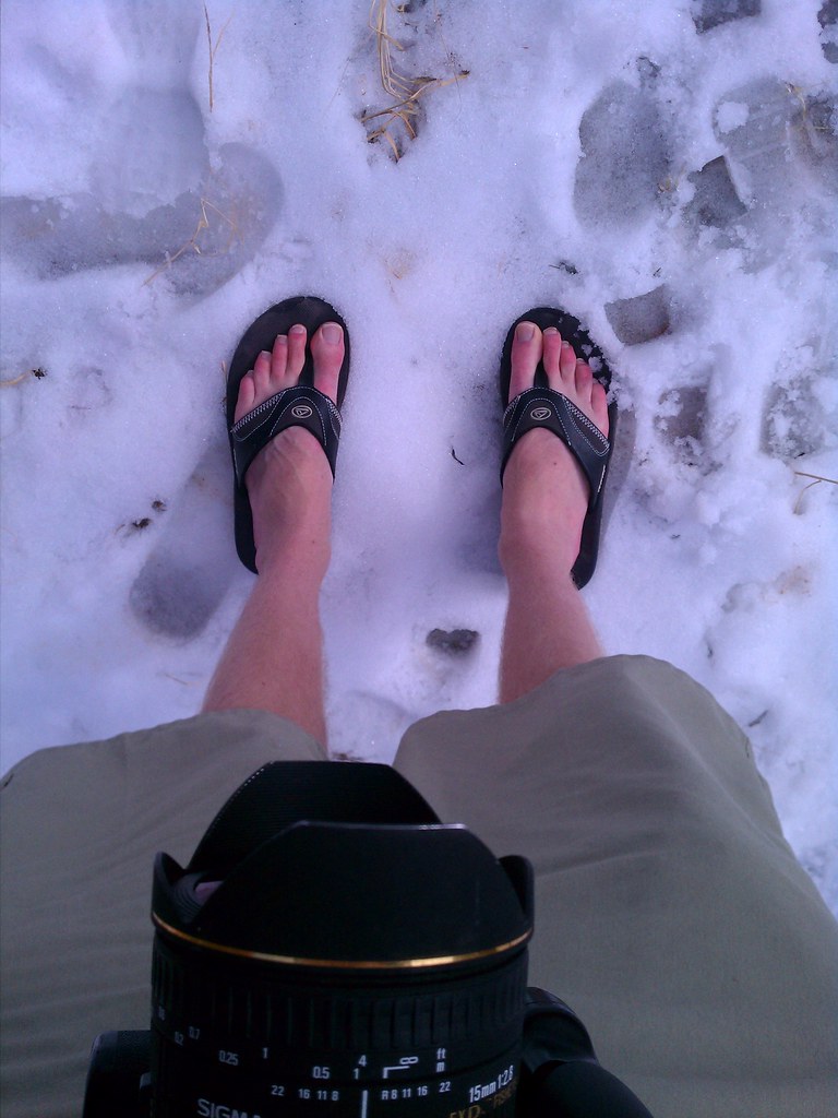 Shorts and flip flops in the snow. Zion National Park.