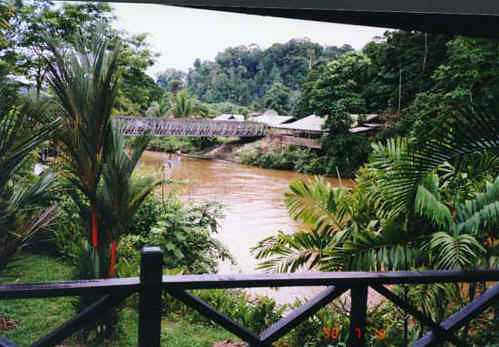 Mistico Sarawak