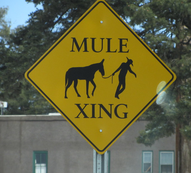 Mule Crossing