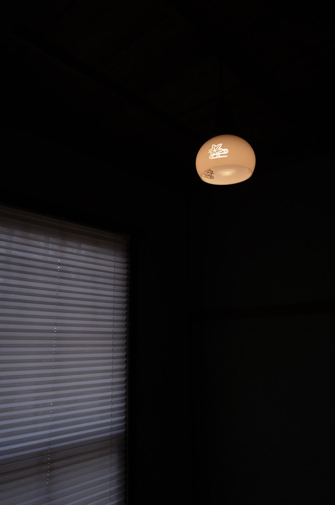 20120301 Cultural Path 3 (Japanese lampshade)