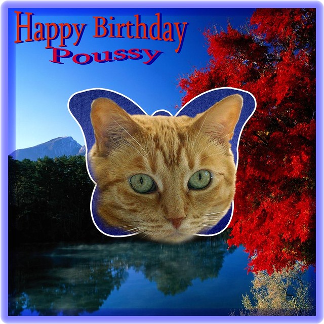Happy B-day Belle Poussy