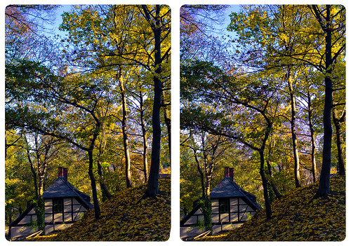 3d 3dphoto 3dstereo 3rddimension spatial stereo stereo3d stereophoto stereophotography stereoscopic stereoscopy stereotron threedimensional stereoview stereophotomaker stereophotograph 3dpicture 3dglasses 3dimage crosseye crosseyed crossview xview cross eye squint squinting freeview sidebyside sbs kreuzblick twin canon eos 550d yongnuo radio transmitter remote control kitlens 1855mm tonemapping hdr hdri raw cr2 quietearth europe germany saxony sachsen vogtland halftimbered house stud work antiquated ancient summer autumn indiansummer leafes trees 100v10f