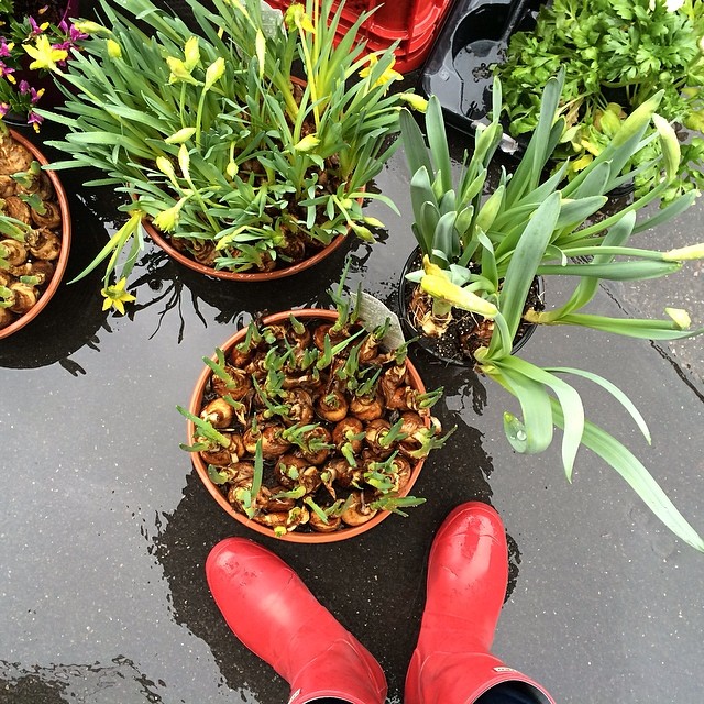 A little rain is not going to stop these boots from #roamancing #Bern. Enjoyed exploring the market! #SwissRoamancing #Switzerland
