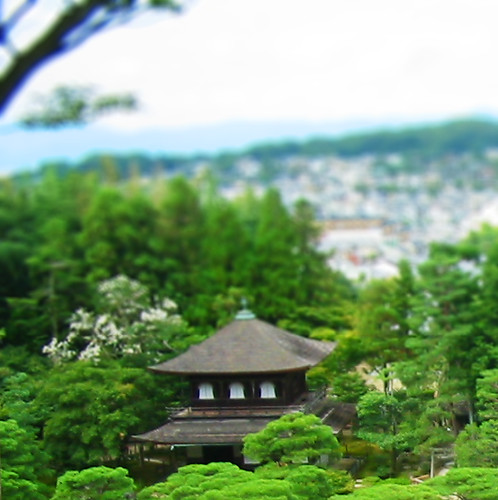 Tilt Shift | by LittleSidekick
