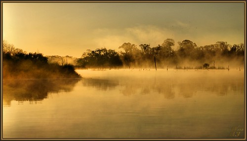 reflection nature water fog sunrise dawn golden texas scenic bayou pasadena canoeing paddling bayareapark armandbayou flickrdiamond