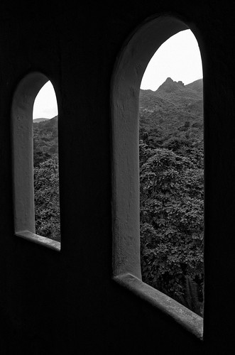 bw tower nature monochrome view pentax puertorico arches frame pr caribbean elyunque pentaxk5iis pentaxhdda1685mmf3556eddcwr