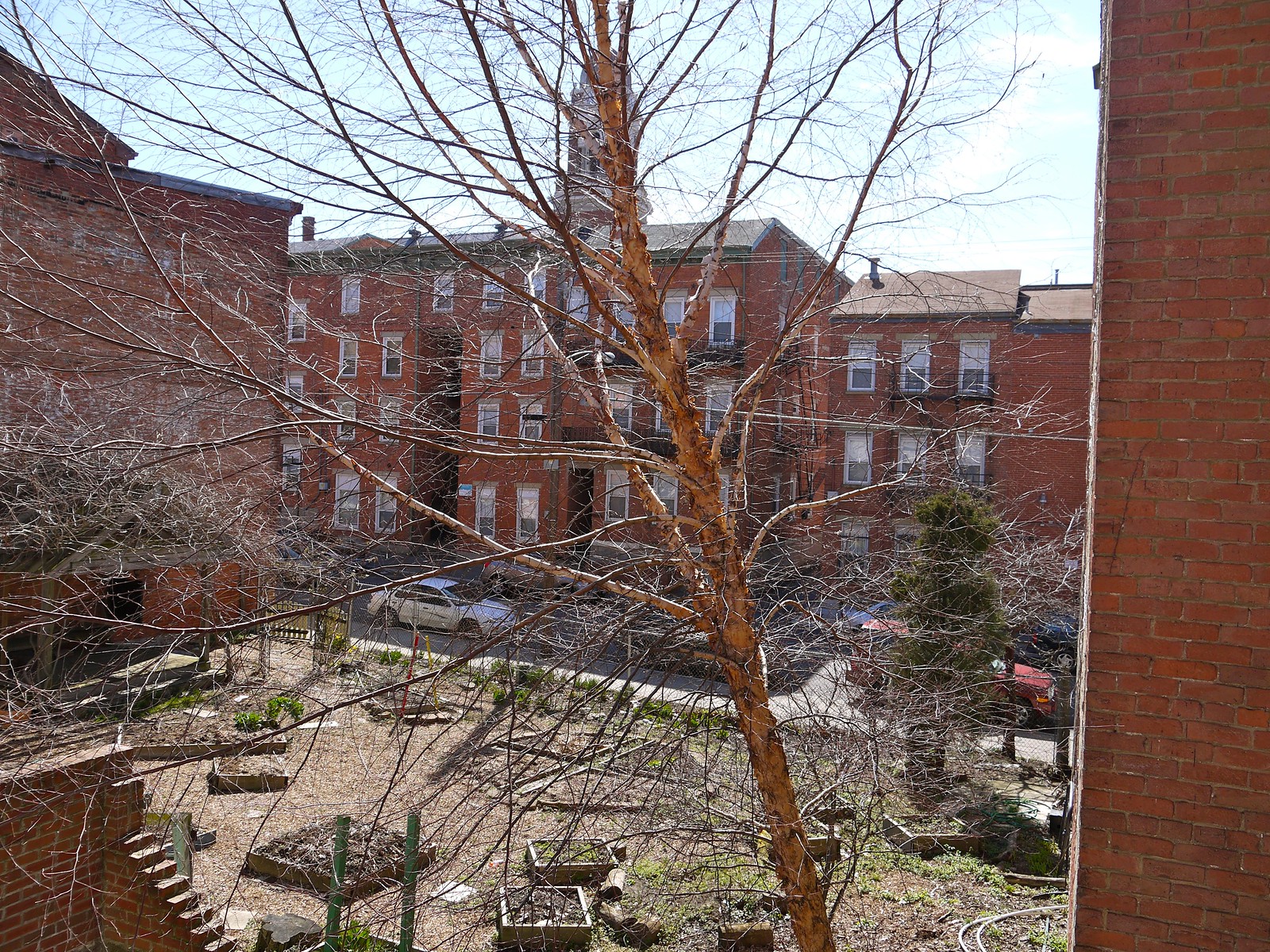 Community Garden