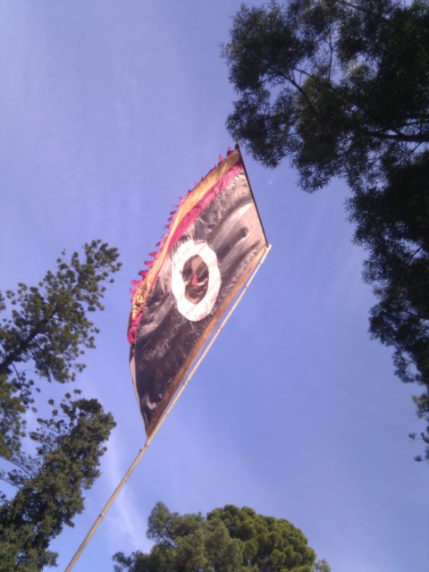 Womad Flag