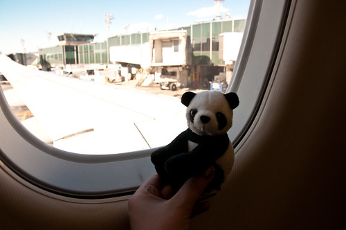 panda says goodbye | flying from JFK to SEA | Jhayne | Flickr