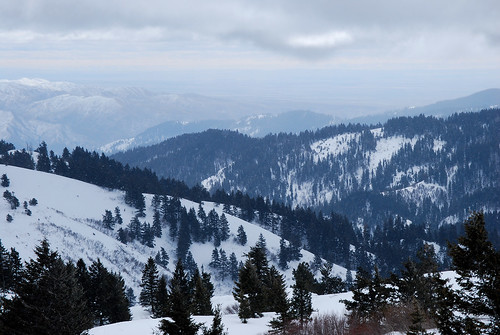 winter snow storm mountains nature clouds forest snowshoe landscapes hiking idaho pines
