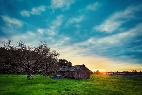 sunset nature beauty barn rural decay warmth penngrove