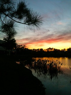 Pond at sunset, 3/31/2014, Largo Florida