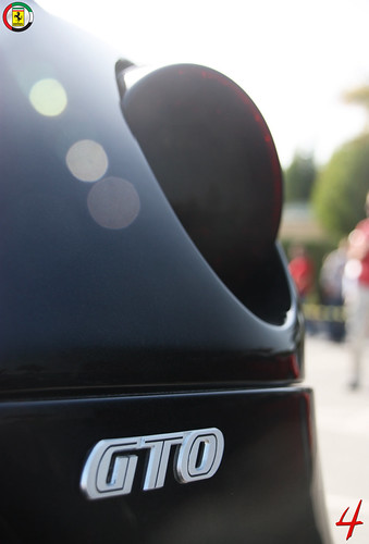 GTO | by 4WheelsofLux Photography