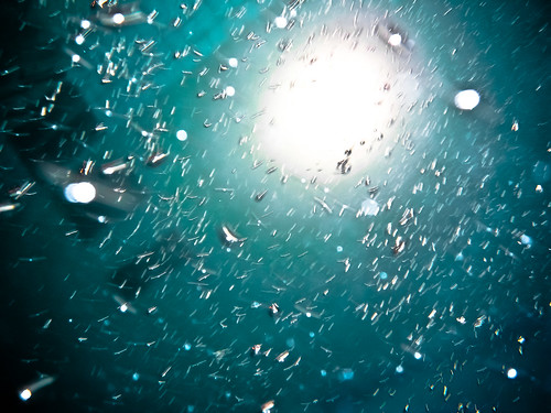 camera light canada motion green water pool swimming movement edmonton fuji underwater space bubbles final alberta finepix ladder aquatic submerged frontier xp10
